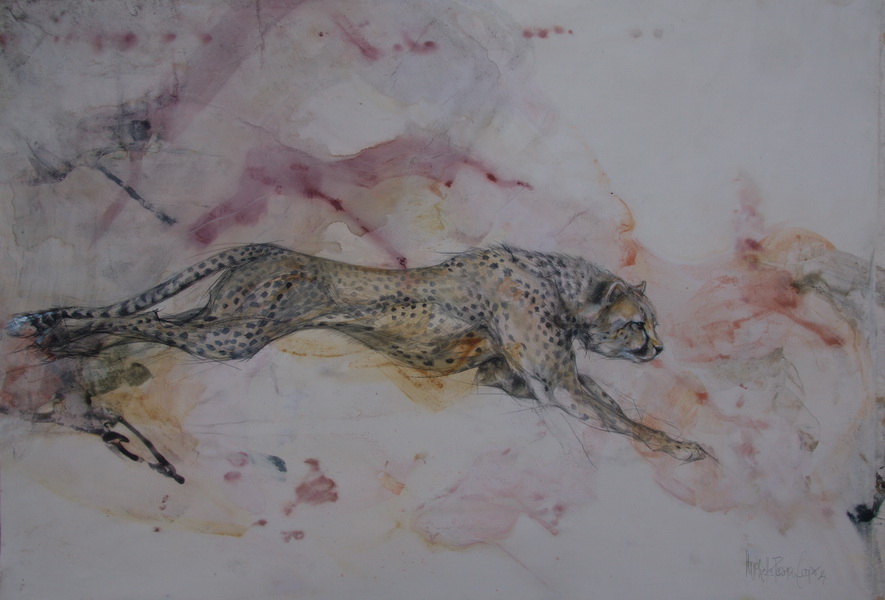 Namibian Cheetah Charcoal on Wash 22 x 32 inches Framed Original
