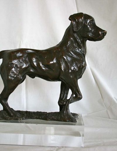 Bronze Statue of a Labrador