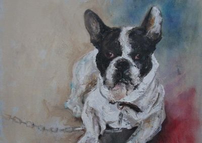 French Bulldog