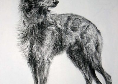 Jake Lurcher 45 x 32 inches.