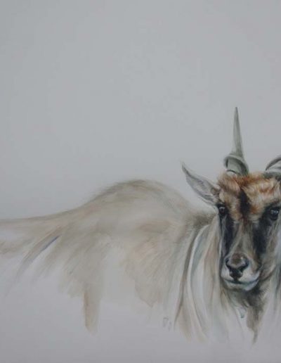 Painting of an Eland