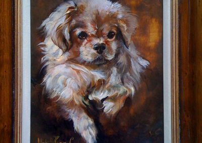 'Tibetan Spaniel' Oil on Wood 12 by 16 inches